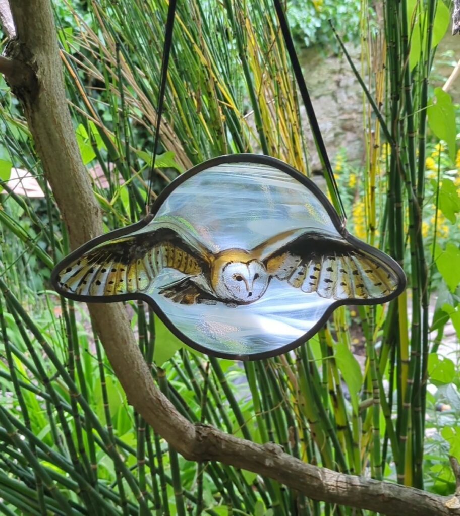 Barn Owl in flight